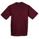 T-Shirt JEZT180 RUSSELL Uomo T-SHIRT 100%C M/C ETIC.ARGENTO