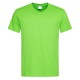 T-SHIRT STEDMAN ST2300 COTONE SCOLLO A V UOMO MANICA CORTA 