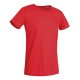 T-SHIRT STEDMAN ST9000 COTONE ADERENTE UOMO MANICA CORTA 