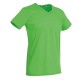 T-SHIRT STEDMAN ST9010 BEN COLLO V UOMO COTONE MANICA CORTA 