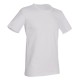 T-SHIRT STEDMAN ST9020 MORGAN GIRCOLLO UOMO COTONE MANICA CORTA MODA