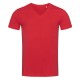 T-SHIRT STEDMAN ST9210 JAMES COLLO V UOMO COTONE MANICA CORTA 