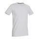 T-SHIRT STEDMAN ST9610 COTONE UOMO SCOLLO A V MANICA CORTA MODA