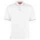 Polo KUSTOM KIT KK606 Uomo POLO ST.MELLION 100%COTONE PIQ Manica corta