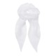 Cravatte, foulard PREMIER PR740 Donna Women Chiffon Scarf 100%P 